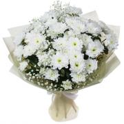 Букет кустовых белых хризантем с гипсофилой и зеленью 5 шт.